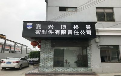 الصين Jiaxing Burgmann Mechanical Seal Co., Ltd. Jiashan King Kong Branch ملف الشركة